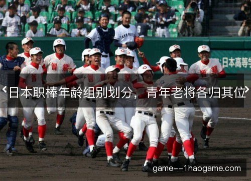 日本职棒年龄组别划分，青年老将各归其位